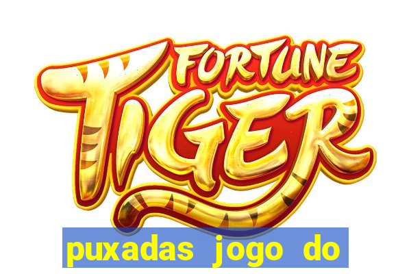 puxadas jogo do bicho sueli